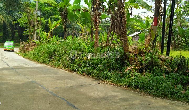 1000m².SHM Tanah Di Jual Di Kec.Cigudeg-Bogor Barat 6