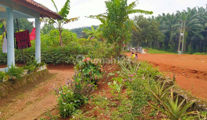 Rumah+Tanah 1200m².SHM Di Jual Di Kec.Cigudeg-Bogor Barat  3