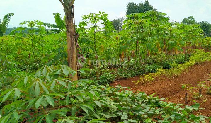 Rumah+Tanah 1200m².SHM Di Jual Di Kec.Cigudeg-Bogor Barat  6