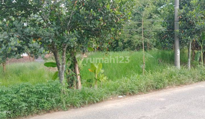 1200m².SHM Tanah Di Jual Di Kec.Tenjo-Bogor Barat  3
