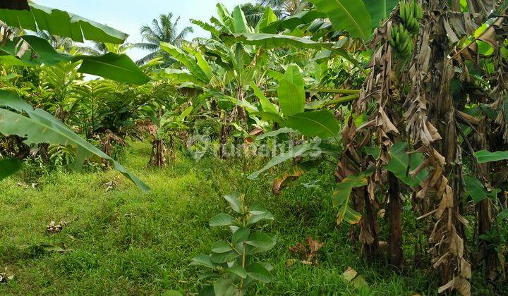 1300m².SHM Tanah Di Jual Di Kec.Tenjo-Bogor Barat 3