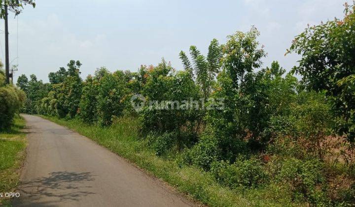 2Ha Tanah Bisa Ternak Ayam Di Kec.Cigudeg-Bogor Barat  2