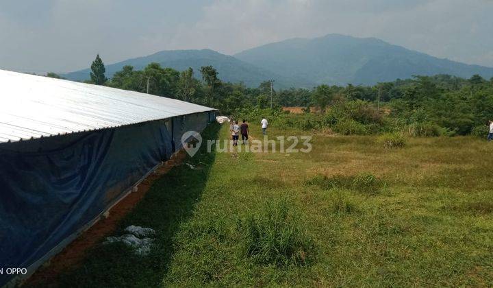 1ha.shm Kandang Ayam Sudah Produksi Kec.jasinga-Bogor Barat 2