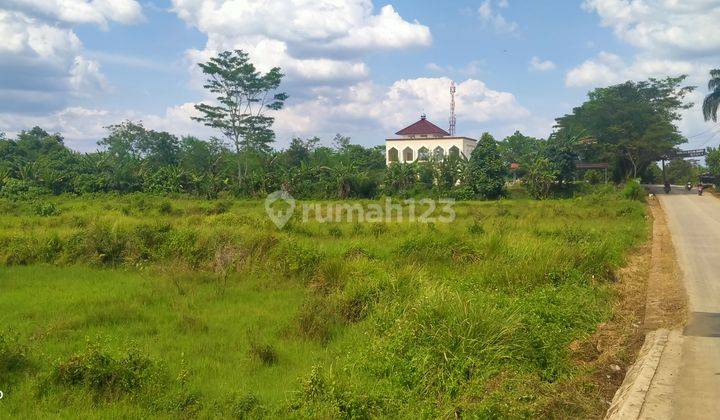 2ha.shm Tanah Jalan Raya Provinsi Kec.jasinga-Bogor Barat 1