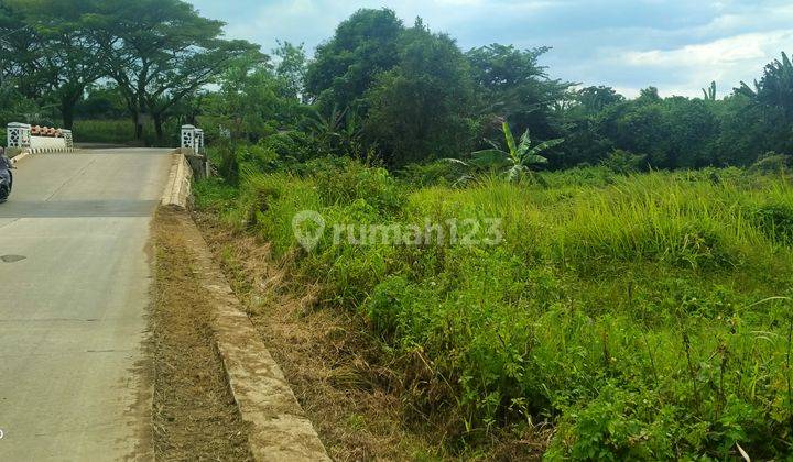 2ha.shm Tanah Jalan Raya Provinsi Kec.jasinga-Bogor Barat 2