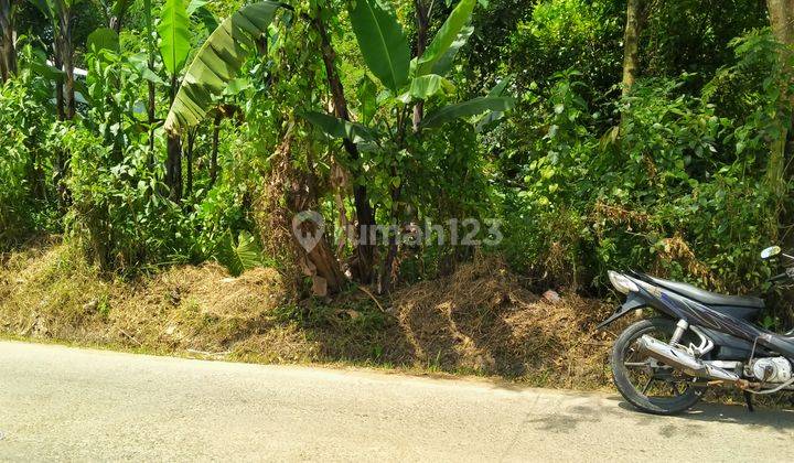 2800m² Di Jual Tanah Di Kec.Tenjo-Bogor Barat  4