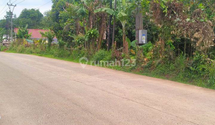 1Ha.SHM Tanah Di Jual Di Kec.Jasinga-Bogor Barat 3