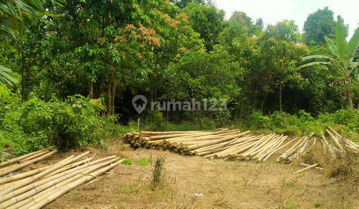 1Ha.SHM Tanah Di Jual Di Kec.Jasinga-Bogor Barat 6