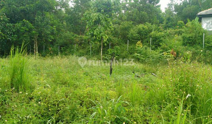 3500m².AJB Tanah Dekat PODOMORO Dan Depan IKON TENJO-BOGOR 6
