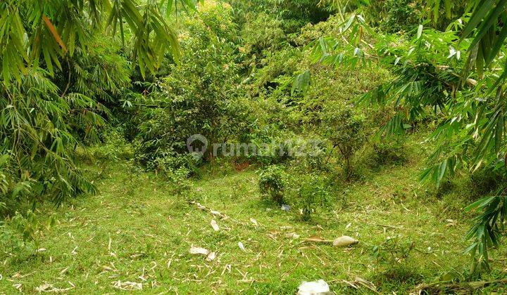 7000m².SHM Di Jual Tanah Di Kec.Jasinga-Bogor Barat  3