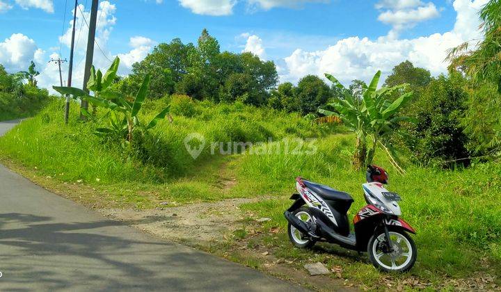 Tanah Kebun Durian 6000m².AJB Di Jual Di Kec.Jasinga-Bogor Barat 2