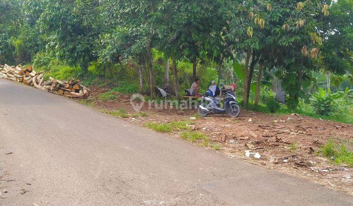 Tanah 4000m² 10menit Dari Setasiun Tenjo Kec.tenjo-Bogor Barat 1