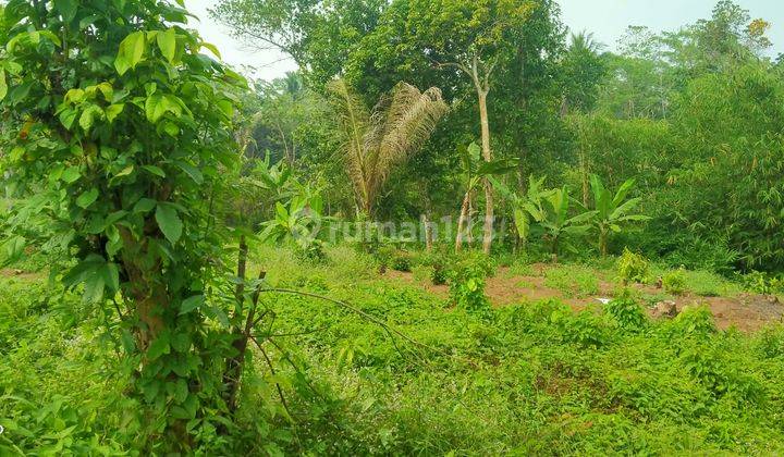 Tanah 4000m² 10menit Dari Setasiun Tenjo Kec.tenjo-Bogor Barat 2