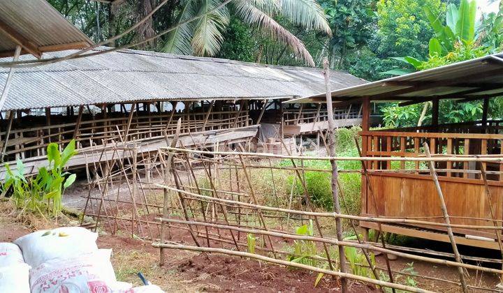 8.820m² Ternak Kambing Dan Kolam Ikan Di Jual Kec.jasinga-Bogor 1