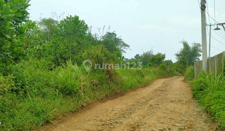 1,2ha.shm Untuk Berkebun Dan Beternak Ayam Kec.jasinga-Bogor 1