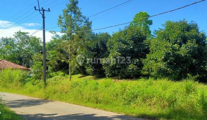 9800m²  Kebun Manggis Dan Durian Kecamatan Jasinga-Bogor Barat 2