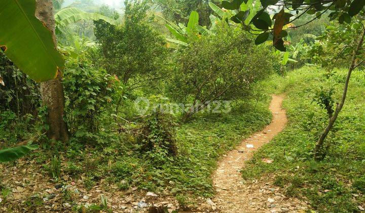 5000m² Cuma 17menit Dari Setasiun Tenjo Kec.jasinga-Bogor 1