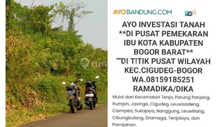 1,5Ha Tanah UNTUK TERNAK AYAM, SAPI DAN VILA Kec.Nanggung-Bogor  1