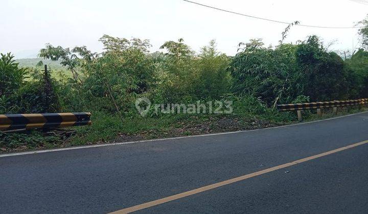 20ha Tanah Murah Di Jalan Raya Nasional Kec.jasinga-Bogor 1