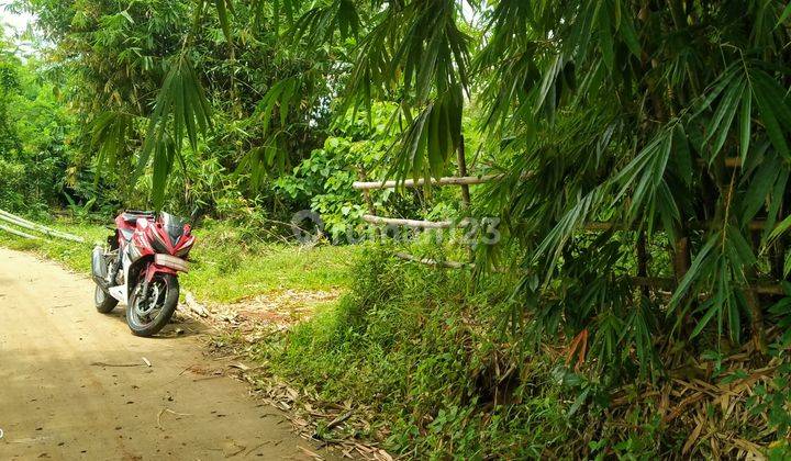 1,3Ha.SHM Tanah Dekat Wisata Danau Kec.Jasinga-Bogor 2