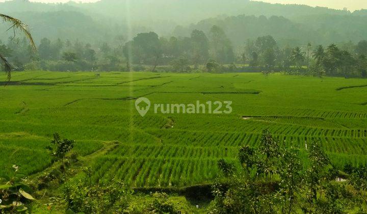 5Ha.AJB Tanah Sawah Jalan Kabupaten Kec.Nanggung-Bogor Barat 1