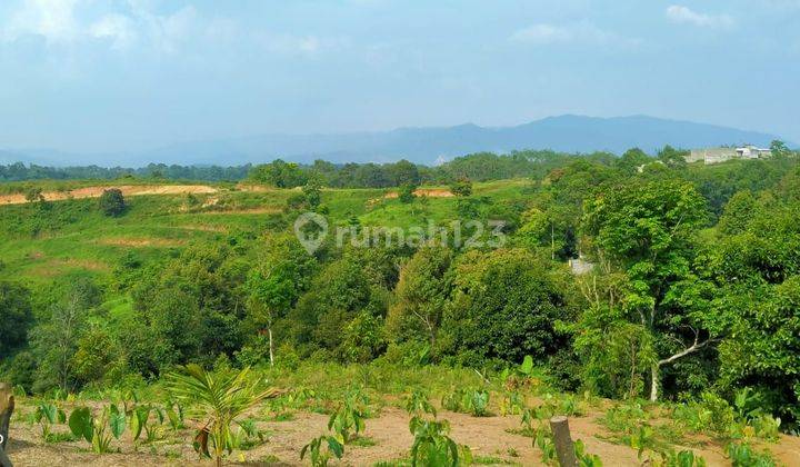 1,5Ha.SHM Tanah Di Jual Di Kecamatan Jasinga-Bogor Barat 2