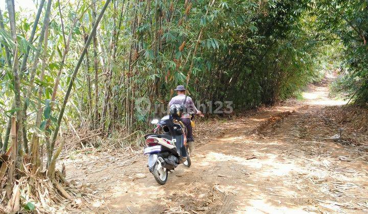 2Ha TANAH UNTUK TERNAK AYAM DAN BERKEBUN DI KEC.JASINGA-BOGOR 2