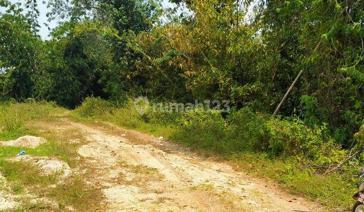 6800m².shm Untuk Kebun Dan Peternakan Kec.jasinga-Bogor 2