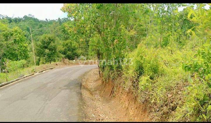 3,8Ha TANAH BISA PETERNAKAN DAN BERKEBUN KEC.JASINGA-BOGOR 2