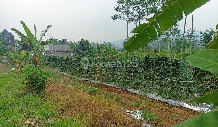 5000m².shm Tanah Di Titik Pemekaran Bogor Barat Kec.cigudeg 2