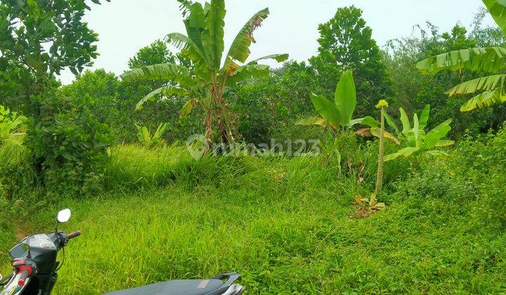 1,2ha.shm Untuk Berkebun Dan Beternak Ayam Kec.jasinga-Bogor 2