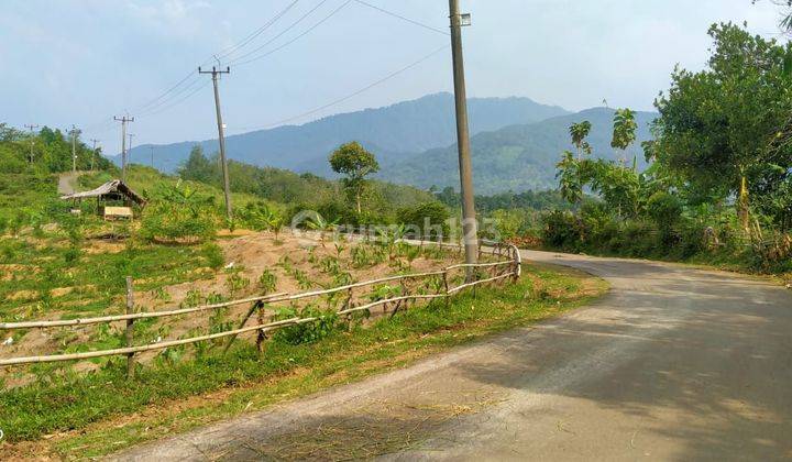 1,5Ha.SHM Tanah Di Jual Di Kecamatan Jasinga-Bogor Barat 1