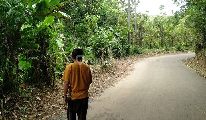 3500m² Tanah Kebun Manggis Dan Ada Sawah Kec.Jasinga-Bogor 2