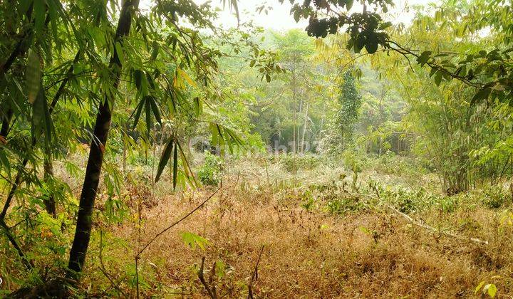 8600m².shm Bisa Berkebun Dan Beternak Ayam Kec.jasinga-Bogor 1