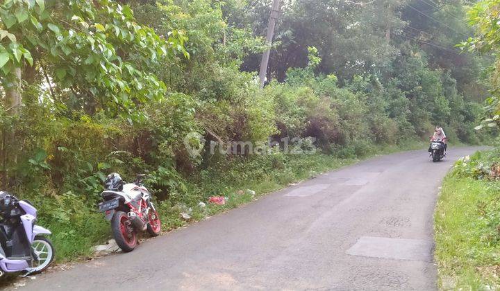 5Ha.AJB Tanah Sawah Jalan Kabupaten Kec.Nanggung-Bogor Barat 2