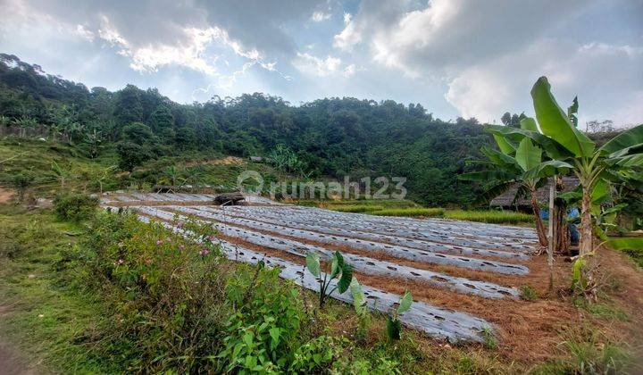 2ha Untuk Beternak Ayam Dan Kebun Kec.sukajaya-Bogor Barat 2