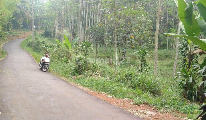 3,3Ha.SHM Tanah Di Wilayah Pemekaran Cigudeg-Bogor Barat 2