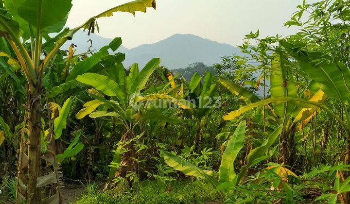 1,5Ha DI JUAL TANAH DI KECAMATAN SUKAJAYA-BOGOR BARAT 2