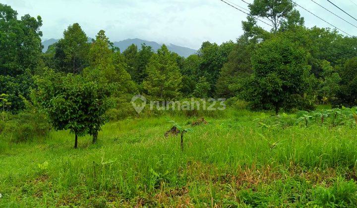 1010m².SHM Di Jual Tanah Di Kecamatan Jasinga-Bogor Barat 2