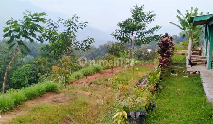 8000m² VILA KEBUN DURIAN DI KEC.NANGGUNG-BOGOR BARAT 2