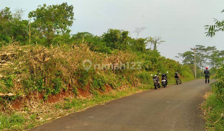 1,5Ha Tanah UNTUK TERNAK AYAM, SAPI DAN VILA Kec.Nanggung-Bogor  2