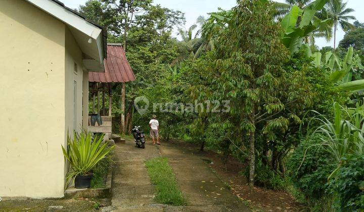 1,8ha.shm Vila, Kebun Durian Dan Kolam Ikan Kec.cigudeg-Bogor 2