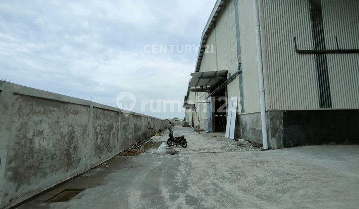 Gudang Komersil Kawasan Industri 19 Dekat Laksana Pakuhaji Gudang Komersil Kawasan Industri 19 Dekat Laksana Pakuhaji