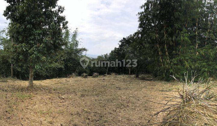 Dijual Cepat Tanah di Jalan Raya Cijeruk Cigombong, View Bagus Ke Gunung Salak Dan Pangrango 2