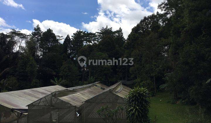Dijual Tanah Bangunan Lokasi Strategis, Jl. Cisalada, Cigombong 12