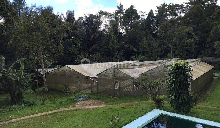 Dijual Tanah Bangunan Lokasi Strategis, Jl. Cisalada, Cigombong 13