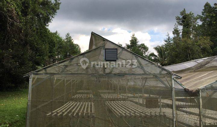 Dijual Tanah Bangunan Lokasi Strategis, Jl. Cisalada, Cigombong 17