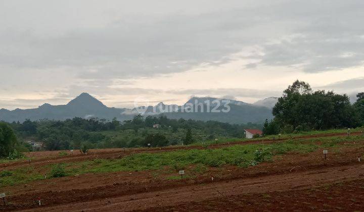 Investasi Potensial 2022 !! Tanah Kavling Kebun Di Bogor 3