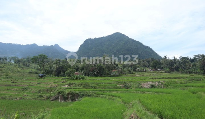Tanah Kavling Vila di Nuansa Alam Heritage, Bogor SHM 300 m² 1