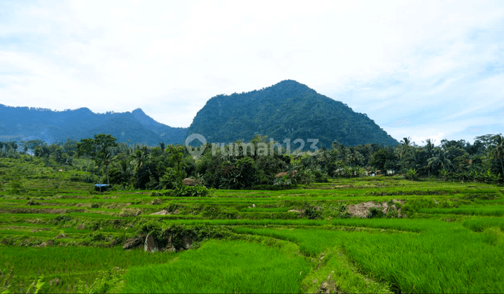 Tanah Kavling Vila di Nuansa Alam Heritage, Bogor SHM 300 m² 6
